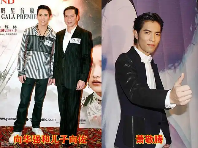 向华强和萧敬腾什么关系?