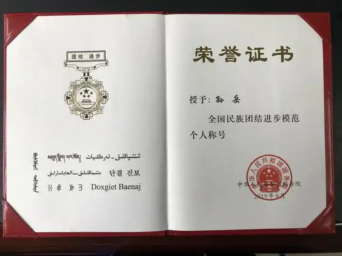 孙岳 民族进步先进个人奖牌(正面).jpg