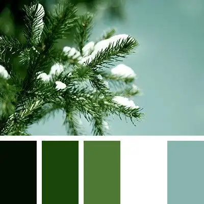 绿色系配色