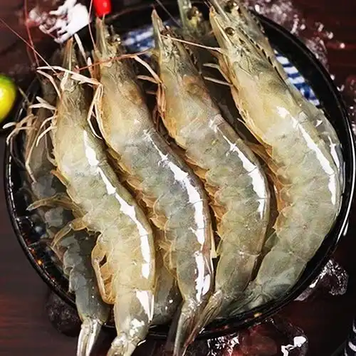 北海大虾批发鲜活急冻大号白虾对国产海水虾海鲜水产对虾500g