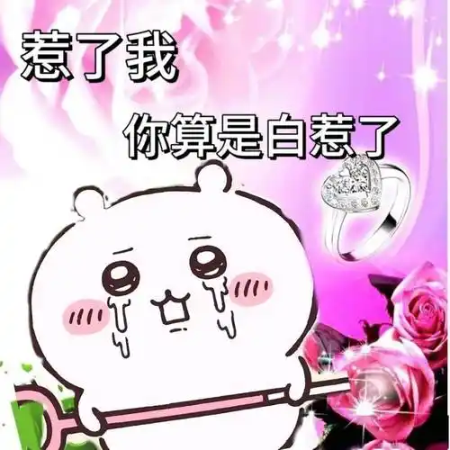 chiikawa表情包专场|我说:公主请收图_网络_cr_壁纸