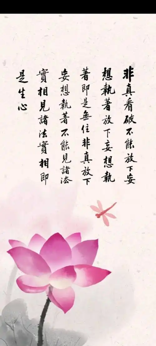 壁纸|佛系壁纸而已