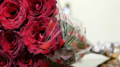 玫瑰花壁纸图片