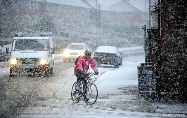 毕竟从这周开始 郑州的秋天已经走远了 冷风刺骨的冬天已经到来了 千