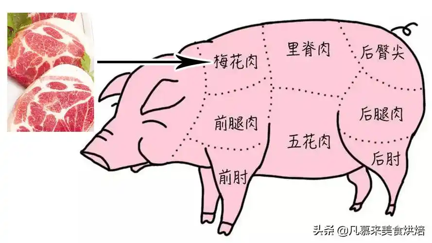猪肉分割图以及各部分特点及用途