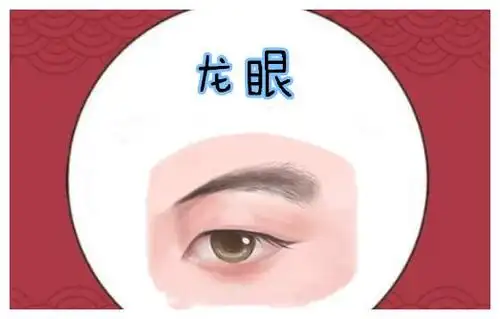 龙眼所谓的龙眼,就是指一个人的眼头长的浑圆,而眼尾细长有型,则大