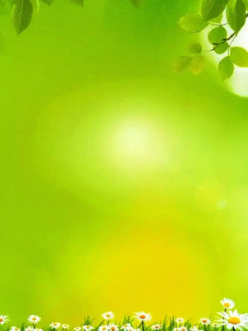 护眼绿色系列 手机壁纸背景图 书单底图