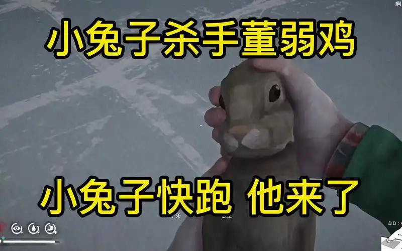 董导漫漫长夜成为小兔子杀手吃起来嘎嘣脆嘎嘎香