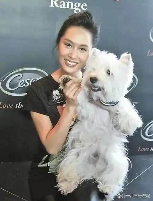 紫霞仙子朱茵近况打扮宛如大妈如今住在郊区农村