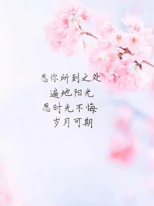 今日手写愿你所到之处遍地阳光