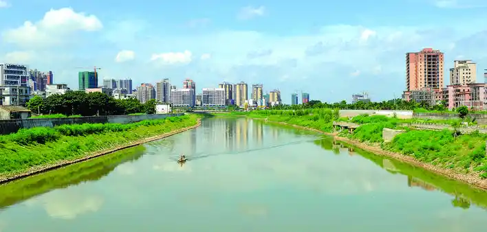 惠阳"1号工程"显成效!再现"白哥仔"鹭舞淡水河-惠州权威房产网-惠民之