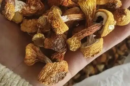 35岁女教师罹患宫颈癌,提醒:下身出现3变化,宫颈癌或已离你很近了