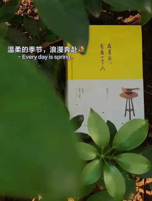 治愈书单沈从文值得反复翻阅的浪漫书籍77