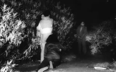 大学生情侣打野图,情侣打野一般在什么地方合