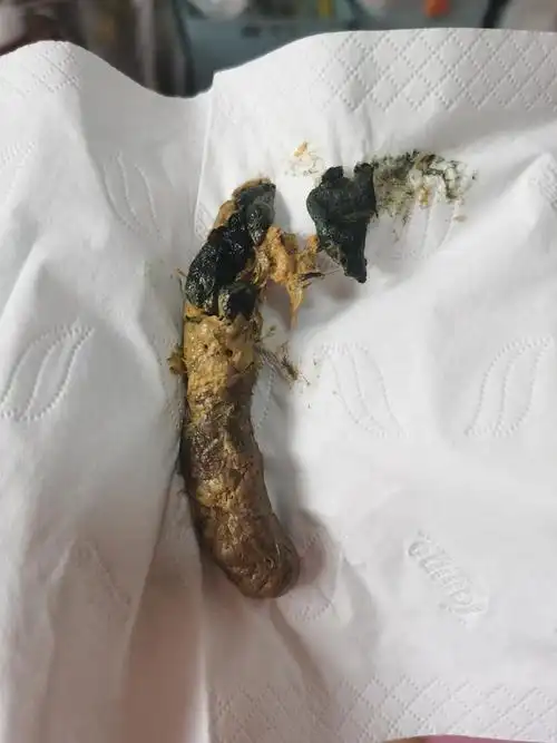 1080_1440竖版 竖屏