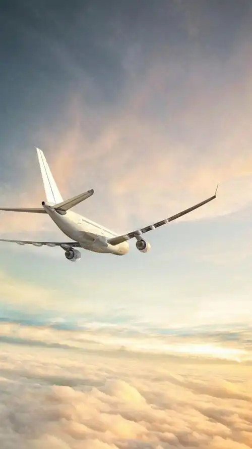 「遗失的心跳」——综合壁纸