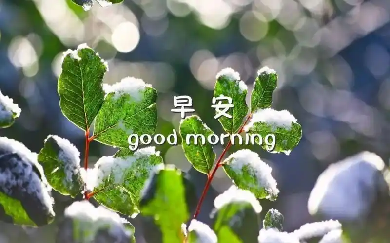 good morning早安图片带字,高清图片,艺术壁纸-回车桌面