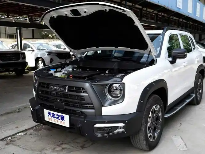 长城汽车 哈弗大狗 2022款 2.0t dct四驱中华田园犬追猎版