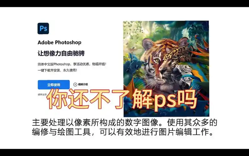 设计师必备的图像处理软件ps