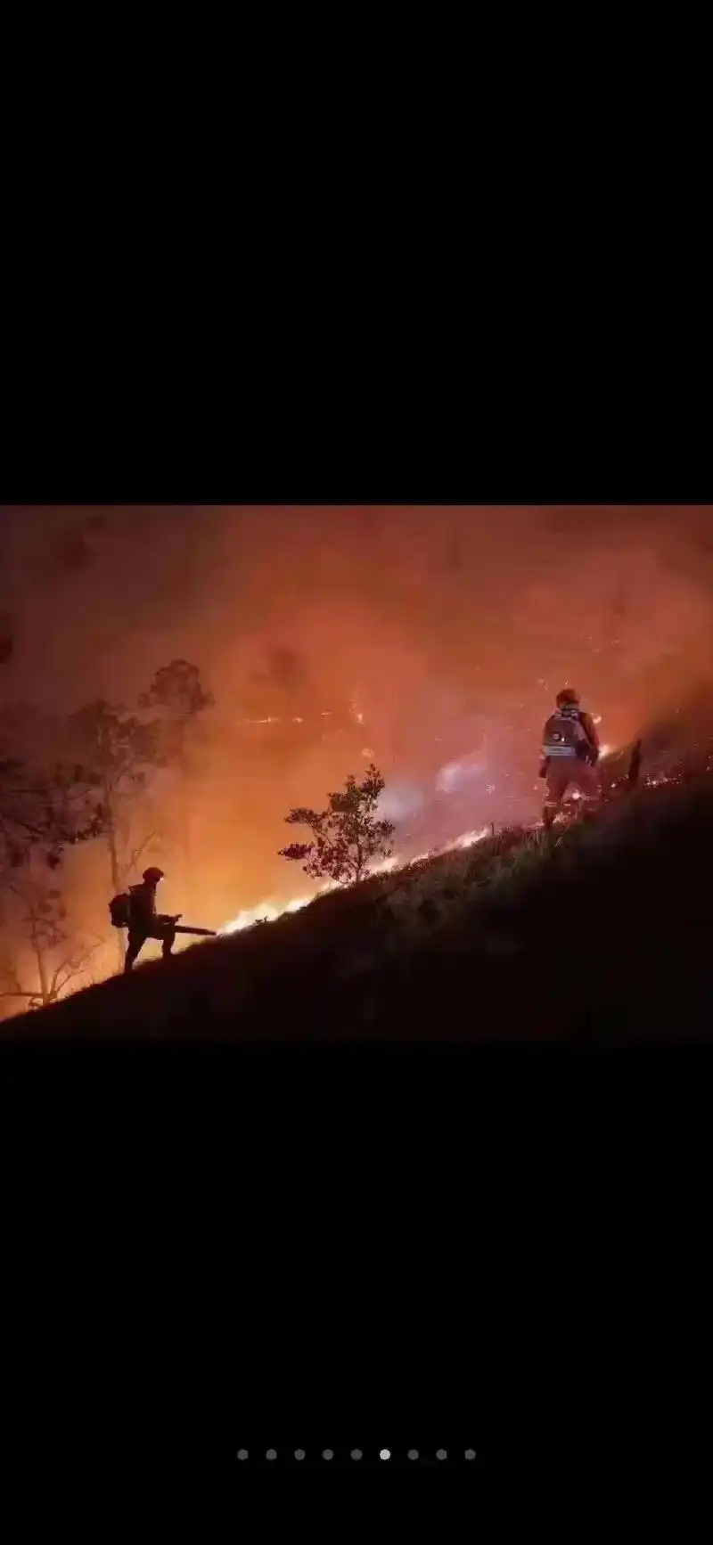 灭火中,辛苦一线的各位消防员和陆军每个位自愿者,有了他们付出 - 抖