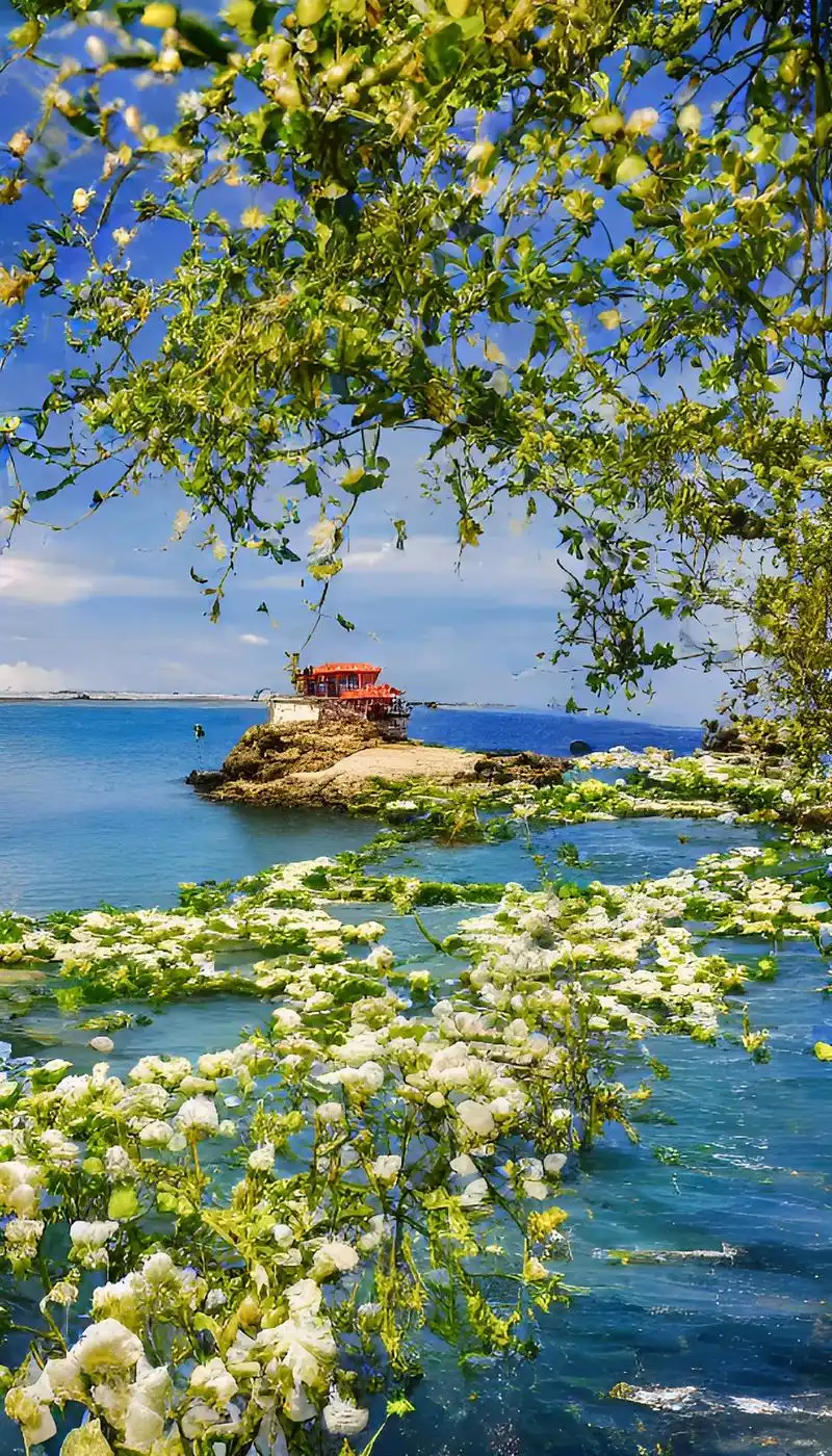 海边的风景配上漂亮的花朵让你想到了什么