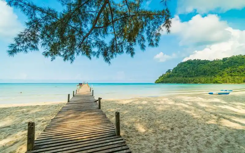 海滩,沙滩,码头,树木,海,热带 iphone 壁纸