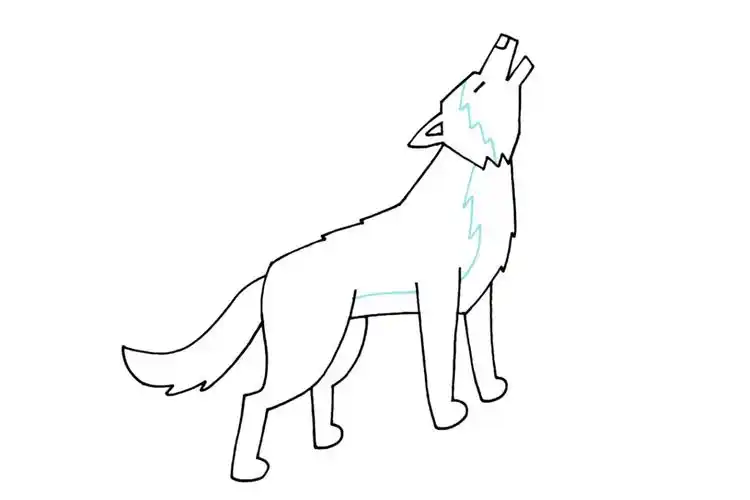 如何画狼 狼的简笔画详细画法-图6