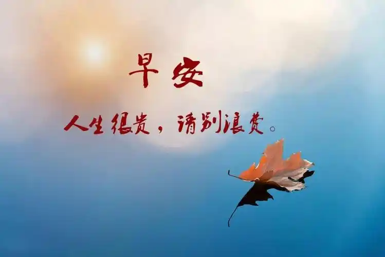 11月最新的人生哲理精辟语句,每一句都令人感悟