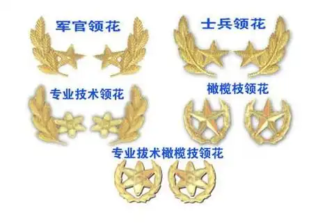松枝叶领花和橄榄枝的领花分别用在什么地方士兵松枝叶和军官松枝叶有