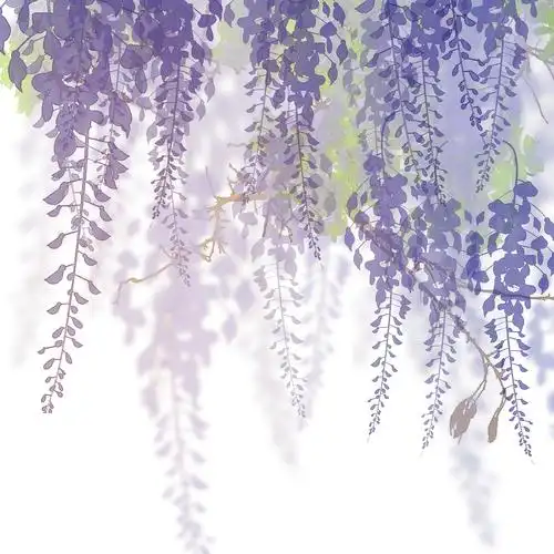 标签:莫慢待8233紫藤紫藤萝紫藤花