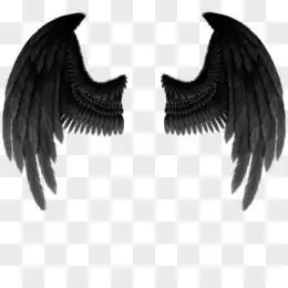 翅膀图案素材