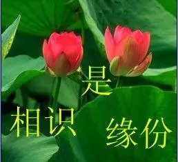 相识是缘份图片 - 酷图网