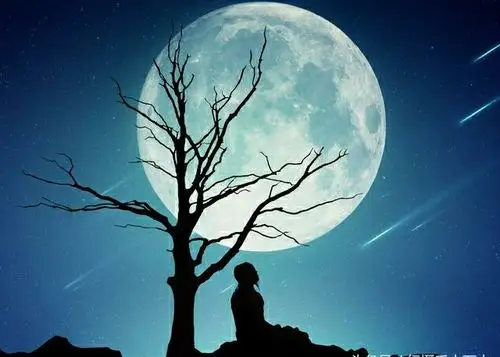 将唐诗宋词里的思念慢慢咀嚼 今夜 不只我一个人对月惆怅 也不只我一