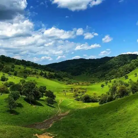 大自然风景图片头像美丽的风景哪一张你最喜欢
