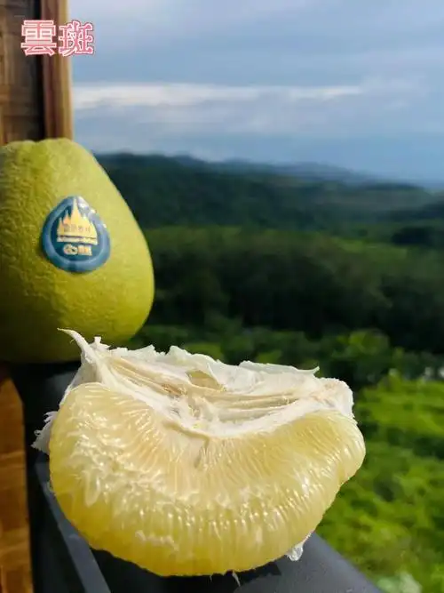 甜脆无籽,细腻多汁!|柚子|西双版纳嘎洒国际机场_网易订阅