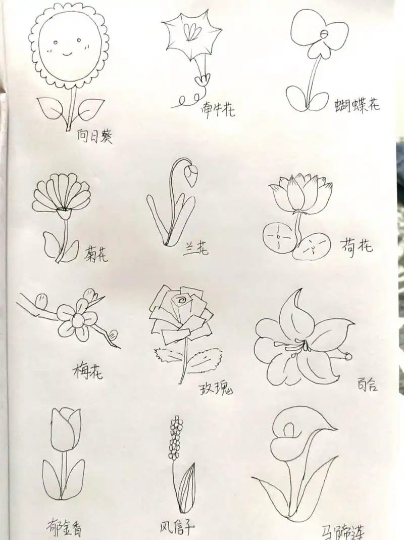简笔画 花花94 第一个97看起来不太聪明的亚子.