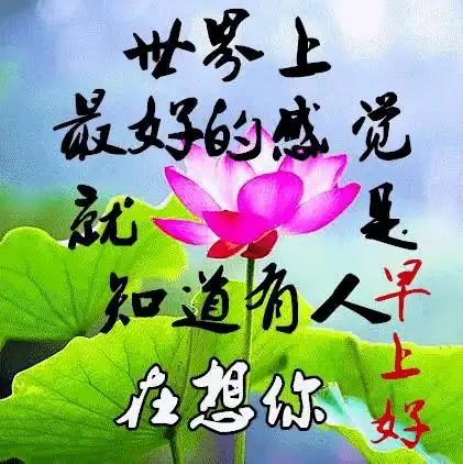 早上好问候美图早安问候语句