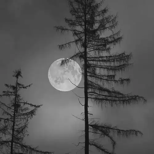 黑白风光摄影,不一样的视觉盛宴!