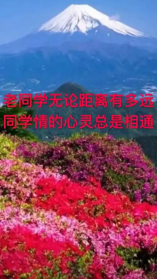 少年同窗读书快乐难忘的的岁月永记心间老同学情谊是一生最美好的缘份