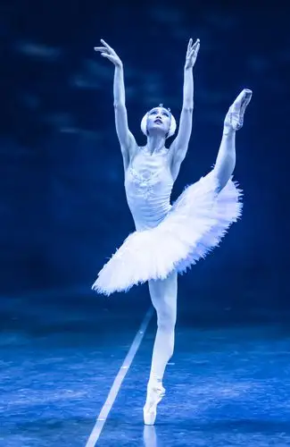 2020年6月13日和14日为上海芭蕾舞团经典芭蕾舞剧《天鹅湖》拍摄,特写