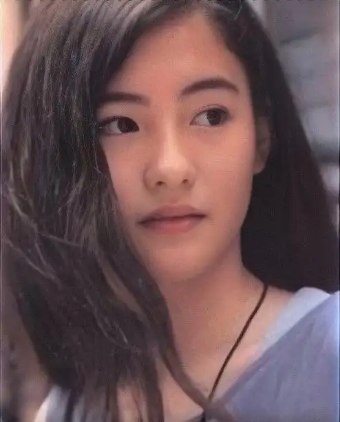 张柏芝年轻时到底有多美(39岁张柏芝到底有多美)(3)