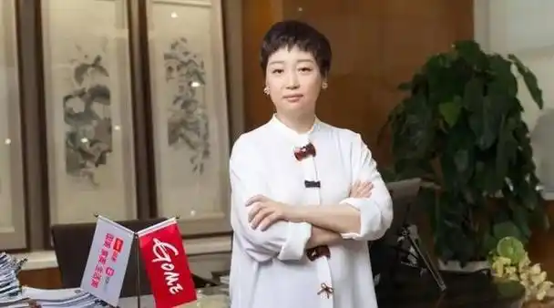 国美集团董事长杜鹃(苦等丈夫12年两年还8亿债务) - 影子网