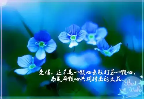 忧伤蓝色意境爱情图片_因为心动于是爱了_唯美图片_精品库