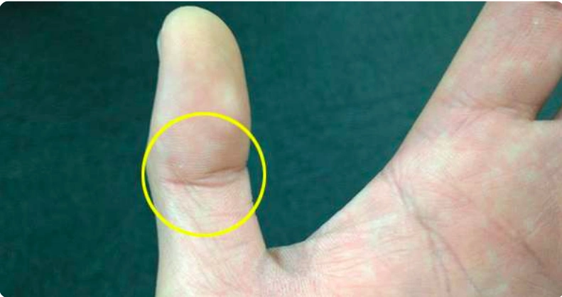 手相专家建议大家千万要听「左手姆指有佛眼」的人说话,因为他们都有