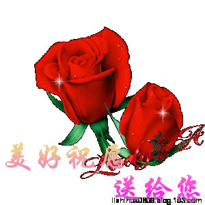 300_300gif 动态图 动图