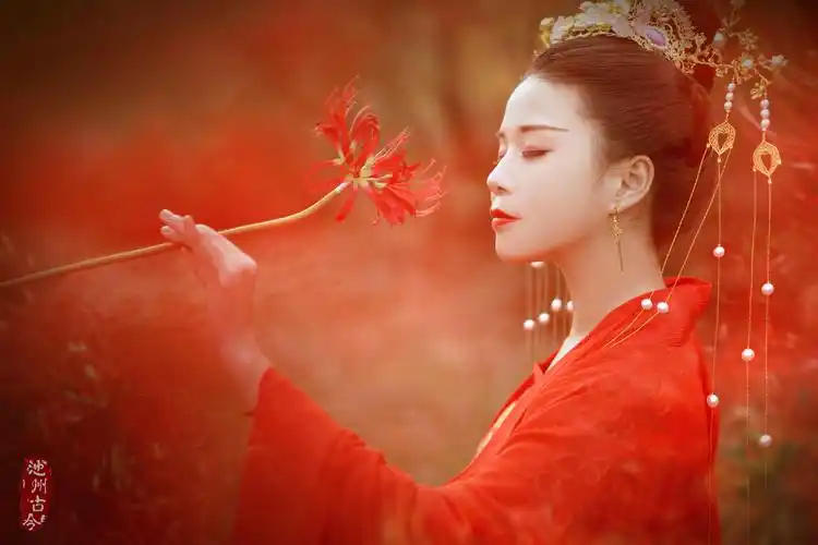 【荷花韵】7909303云水谣7089407醉江湖5944103思美人兮9360101