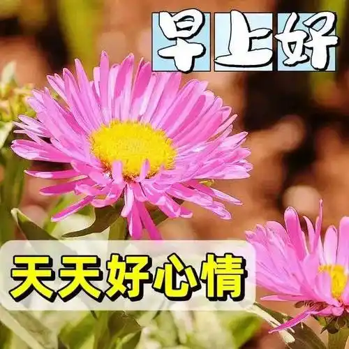 12月26日最新创意好看早上好祝福图片带字 2022唯美早安问候祝福图片