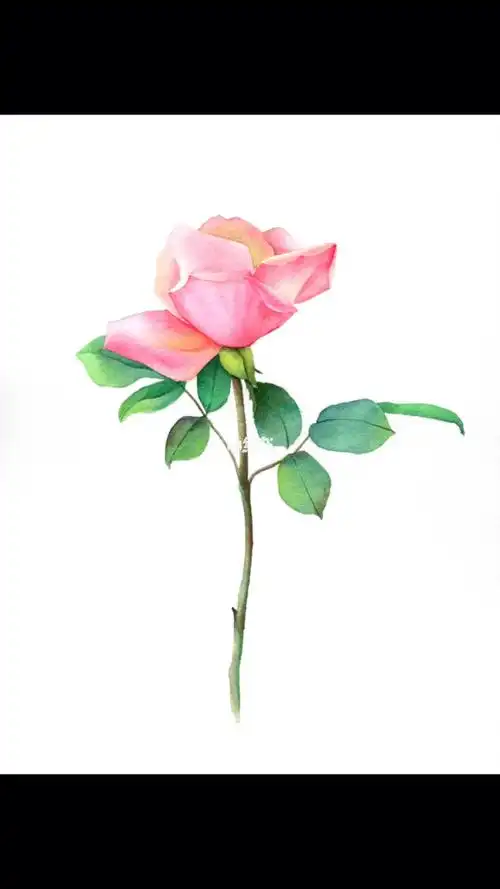 水彩工具清单水彩颜料:mg水彩分装水彩纸:获多福中粗(真的超好用)水彩