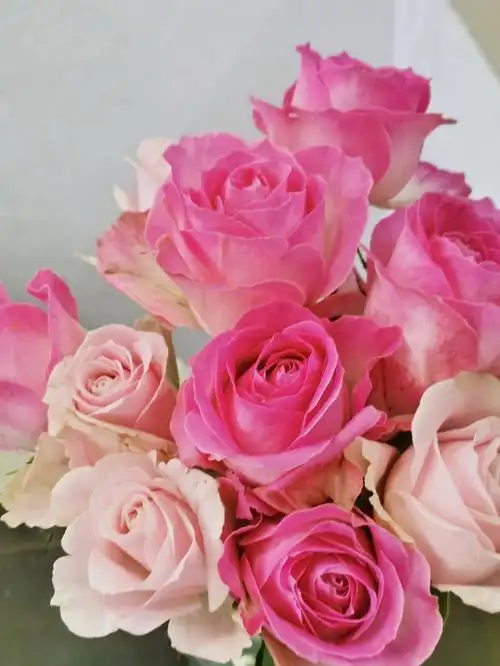 糖果雪山长得太甜太嗲啦