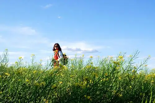 我们生活充满阳光